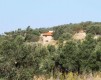 Foto49