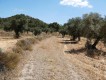 Foto8