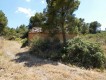 Foto9