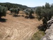 Foto19