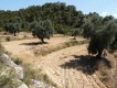 Foto20