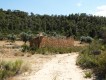 Foto31