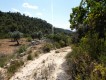 Foto32