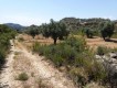 Foto33