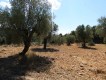 Foto34
