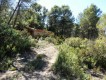 Foto4