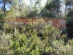Foto5
