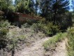Foto8