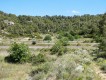 Foto11