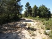 Foto12