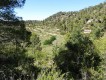 Foto14