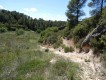 Foto19
