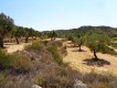 Foto15