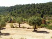 Foto16
