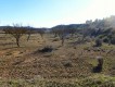 Foto4