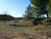 Foto8