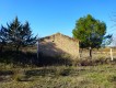 Foto9