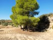 Foto4