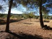 Foto7