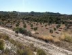 Foto25