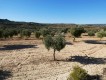 Foto31