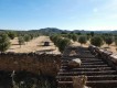 Foto8
