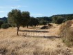 Foto17