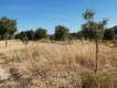 Foto30