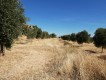 Foto32