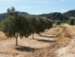 Foto33
