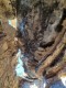 Foto6