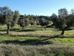 Foto8