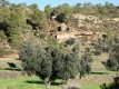 Foto9