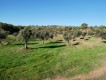 Foto13
