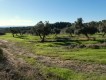 Foto14