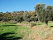 Foto15