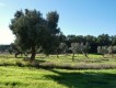 Foto16