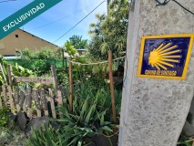 Foto31