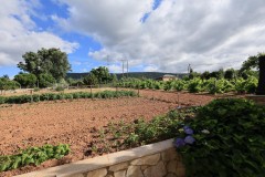 Foto5