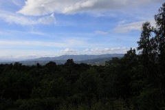 Foto45