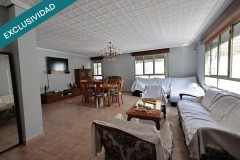 Foto16