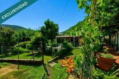 Foto36