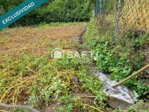 Foto42