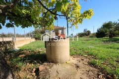 Foto9