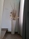Foto29