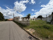 Foto1