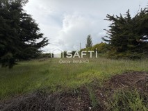 Foto1
