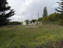 Foto4
