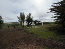 Foto2