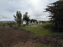 Foto3